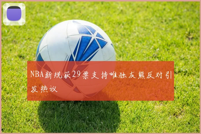 NBA新规获29票支持唯独灰熊反对引发热议