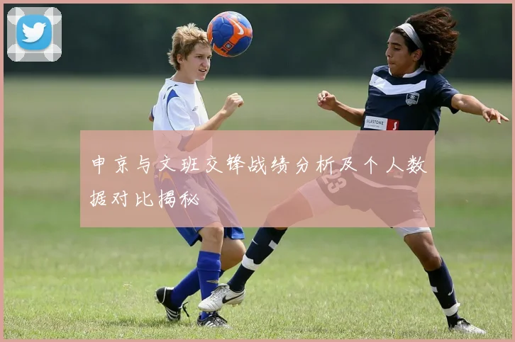 申京与文班交锋战绩分析及个人数据对比揭秘